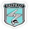 Saltillo Soccer